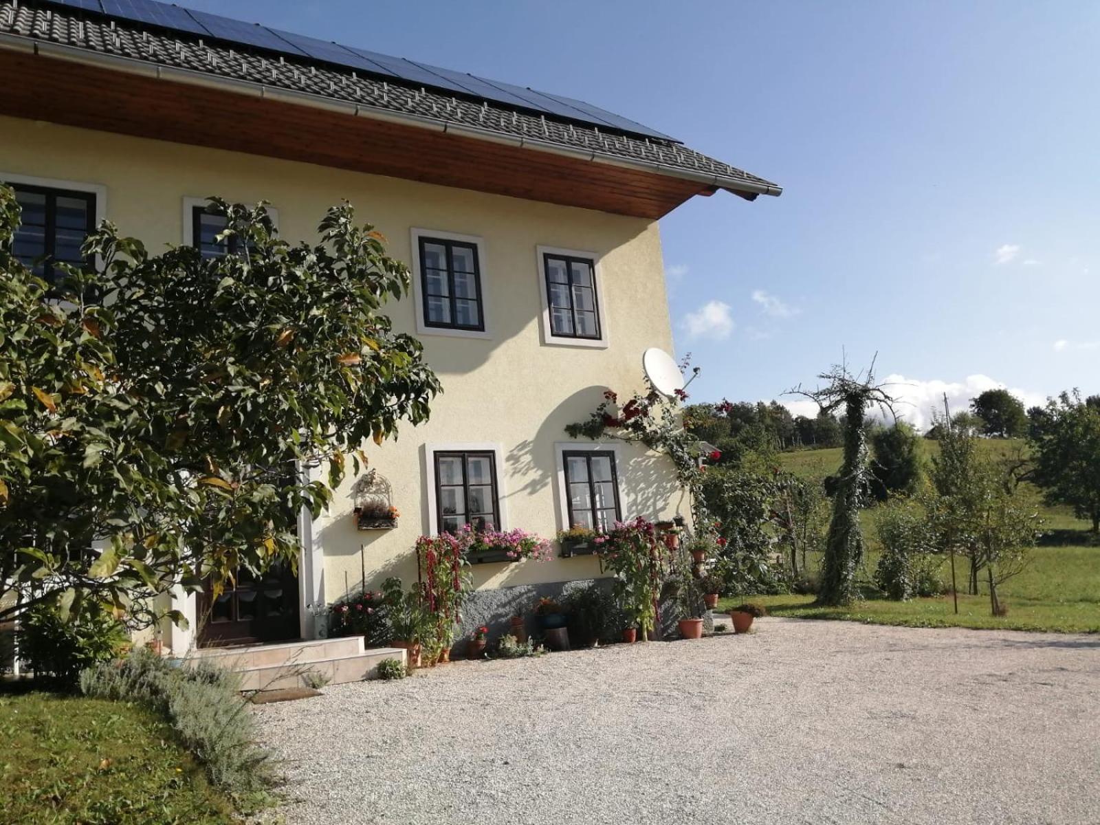 Marta'S House Pensionat Bled Eksteriør billede